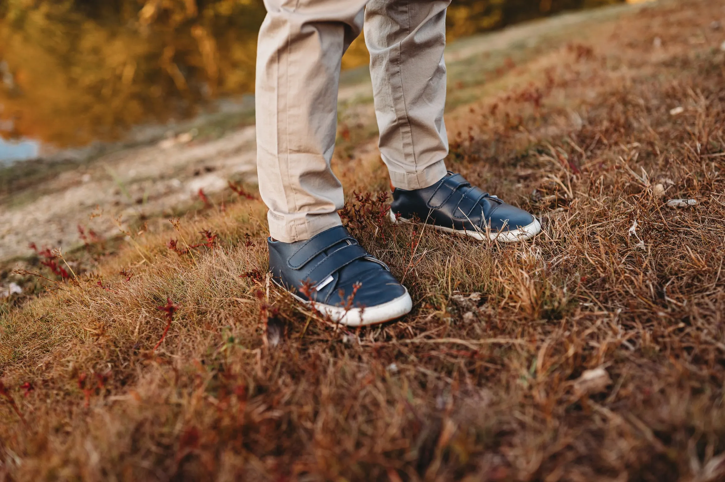 Casual Navy Low Top