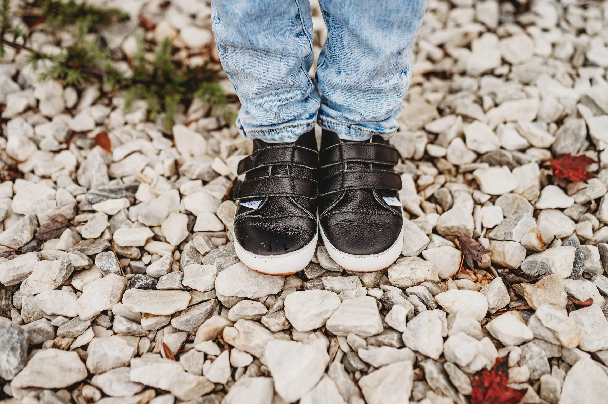 Little Love Bug Casual Black Low Top