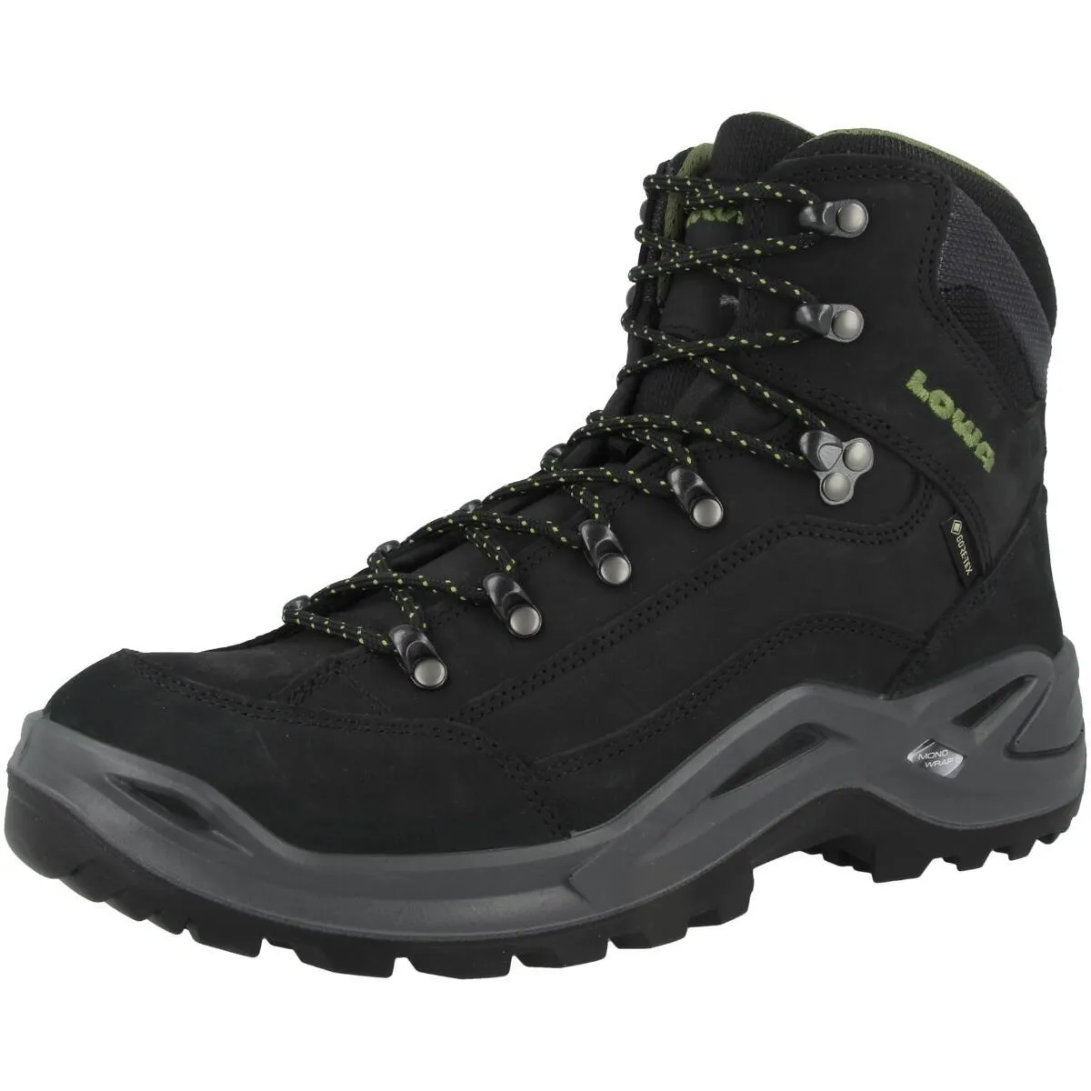 Men's outdoor boots Lowa Renegade GTX, black